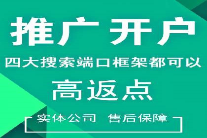 SEM运营策略案例分析